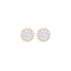 Bella Earrings