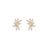 Twilight Earrings