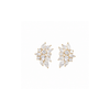 Rock Star Earrings