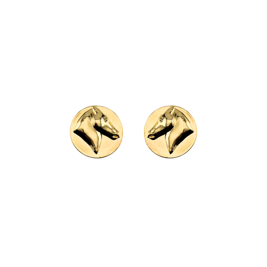 Winx Earrings