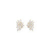 Rock Star Earrings